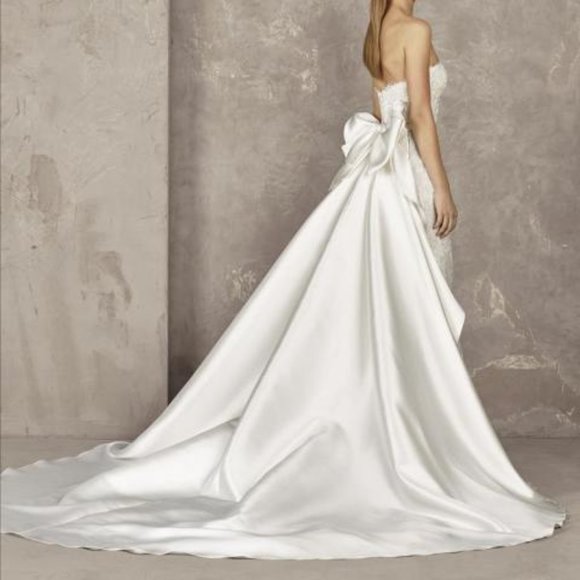 Pronovias Yoisi Wedding Dress - Picture 4 of 4